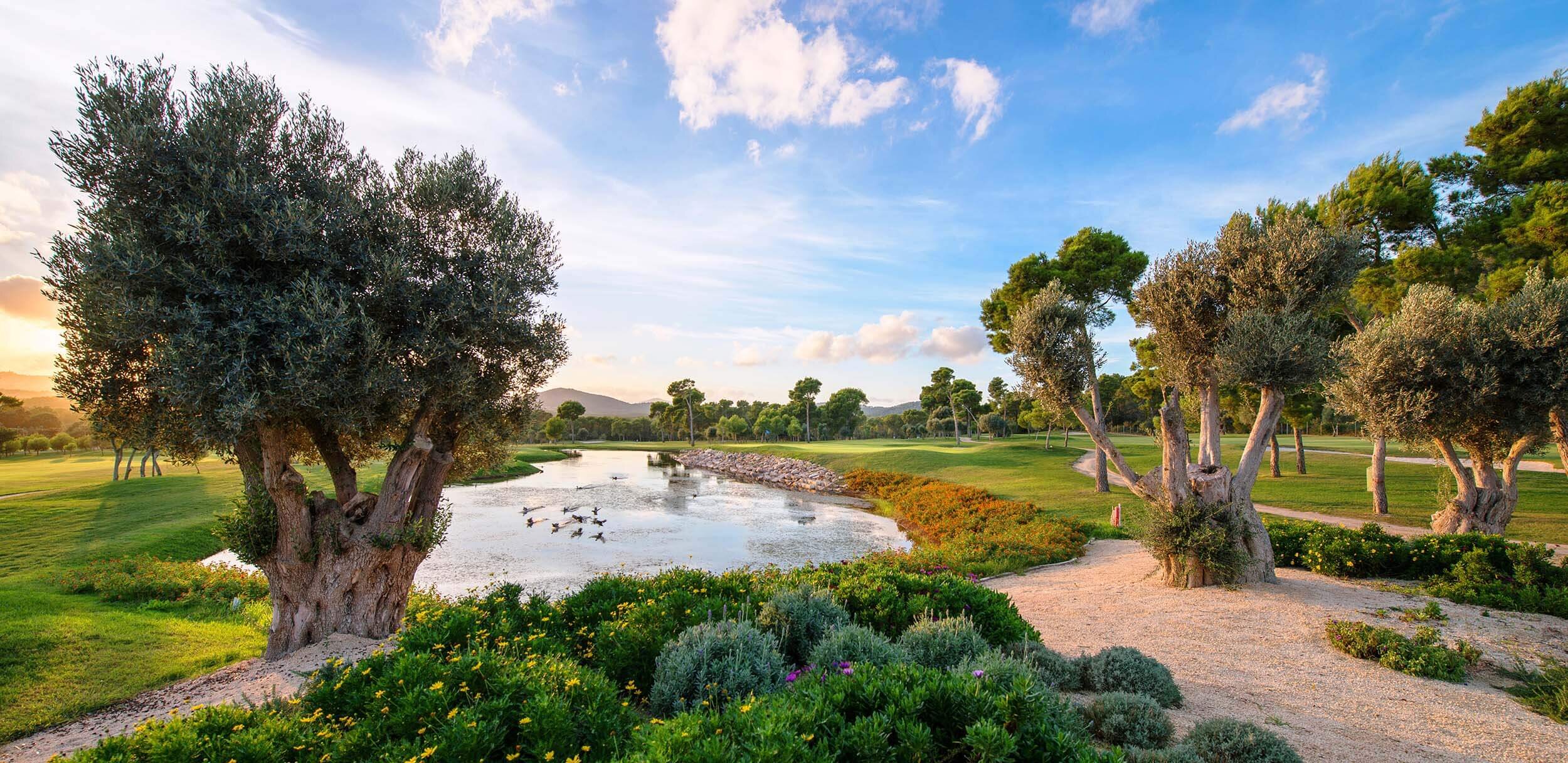 Mantenimiento informático profesional en Son Servera | DDROM