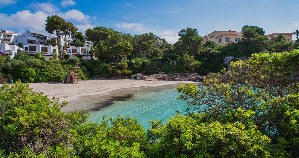 Mantenimiento informático profesional en Cala d'or | DDROM