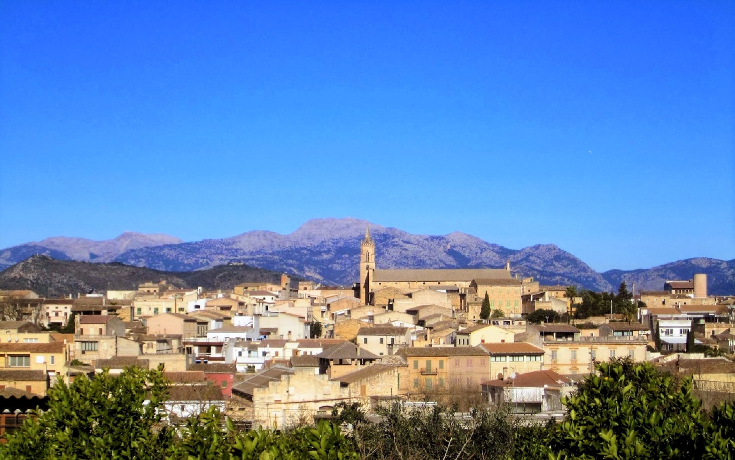 Mantenimiento informático profesional en Llubí | DDROM