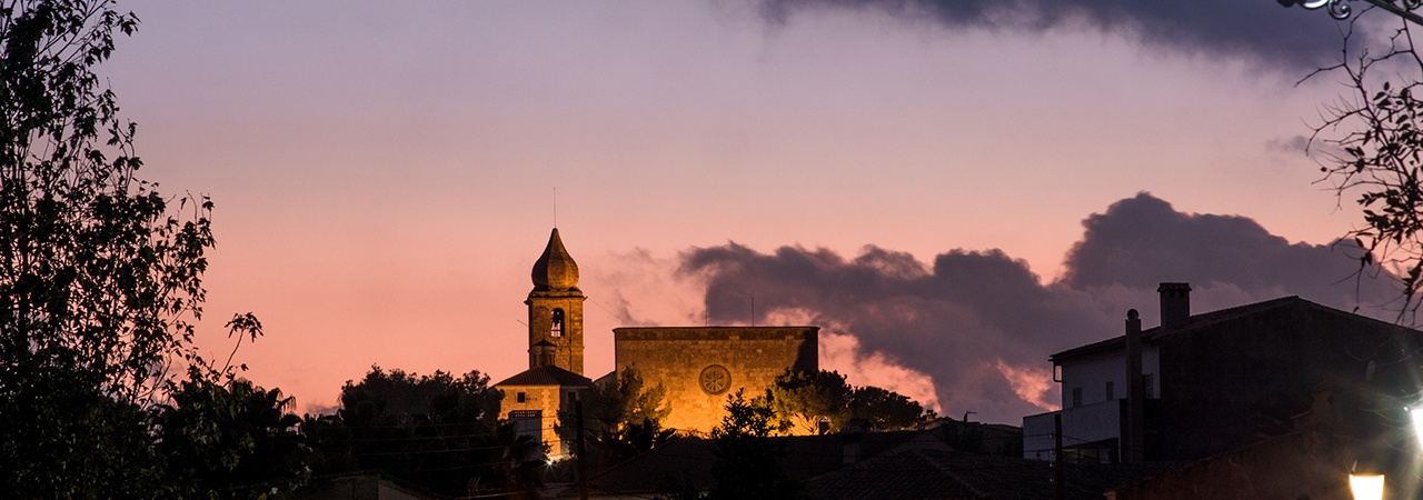 Mantenimiento informático profesional en María de la Salut | DDROM