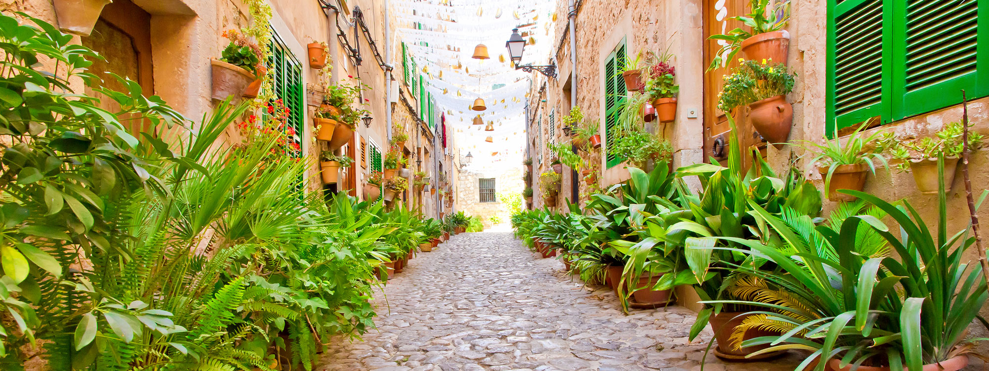 Mantenimiento informático profesional en Valldemossa | DDROM