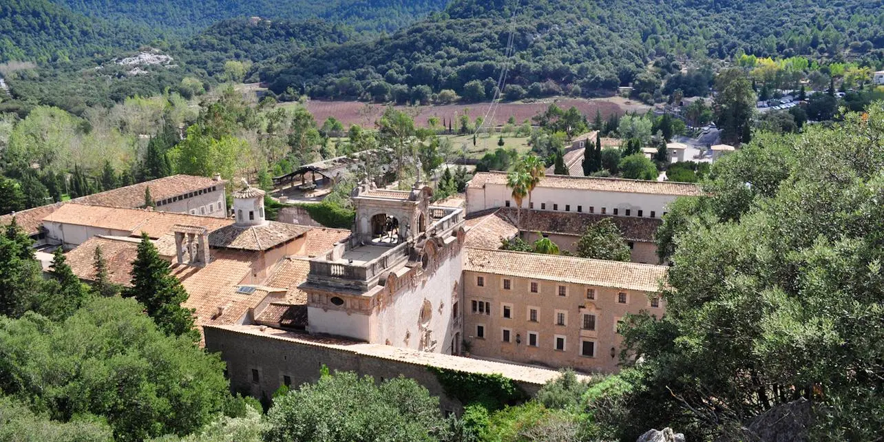 Mantenimiento informático profesional en Escorca | DDROM