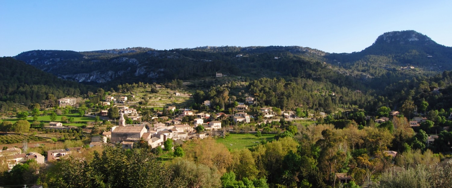 Mantenimiento informático profesional en Puigpunyent | DDROM